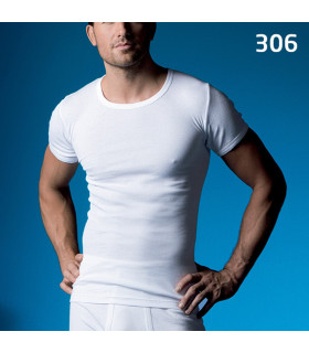 306 Abanderado