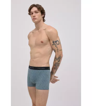 Pack-2 Boxer Estampado Algodón de Ysabel Mor Ref: 20419